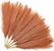 6 Pcs Orange Pampas Grass – 17.7 Inch Faux Burnt Orange Stems for Fall, Boho Décor, Wedding, Party, Table Centerpieces & Home Floral Arrangements